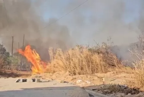 Homem é conduzido à delegacia após provocar incêndio em Elesbão Veloso