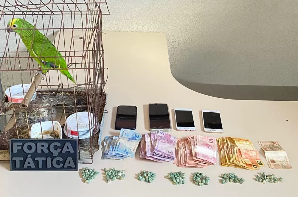 Casal é preso em flagrante por tráfico de drogas em Valença do Piauí