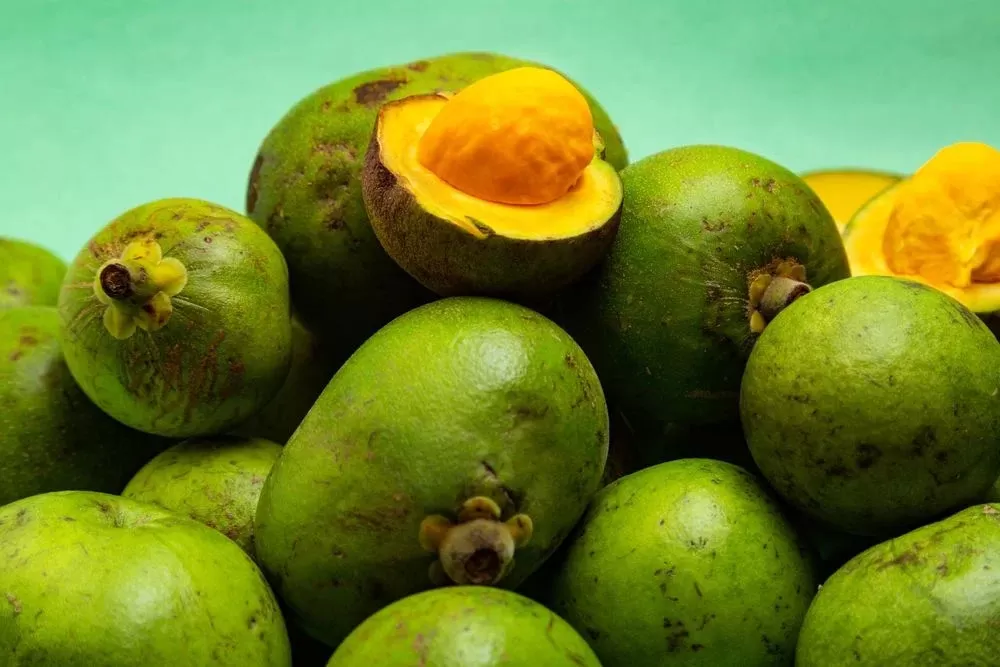 Lula sanciona lei para estimular produção de pequi e preservação do cerrado