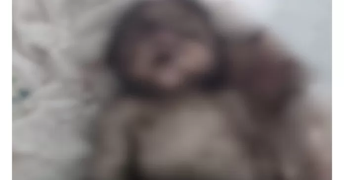 Corpo de recém-nascido é encontrado enterrado no quintal de residência em Inhuma