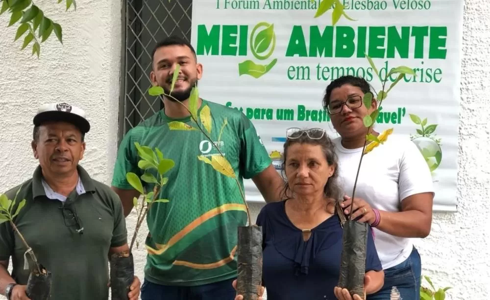 Prefeitura de Elesbão Veloso distribui 200 mudas de caju para incentivar agricultura local