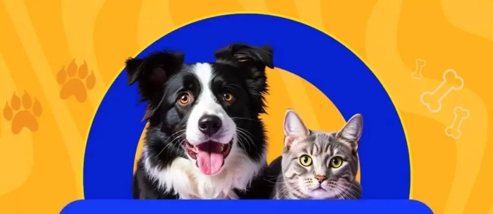 Prefeitura de Elesbão Veloso divulga campanha de vacinação antirrábica para cães e gatos