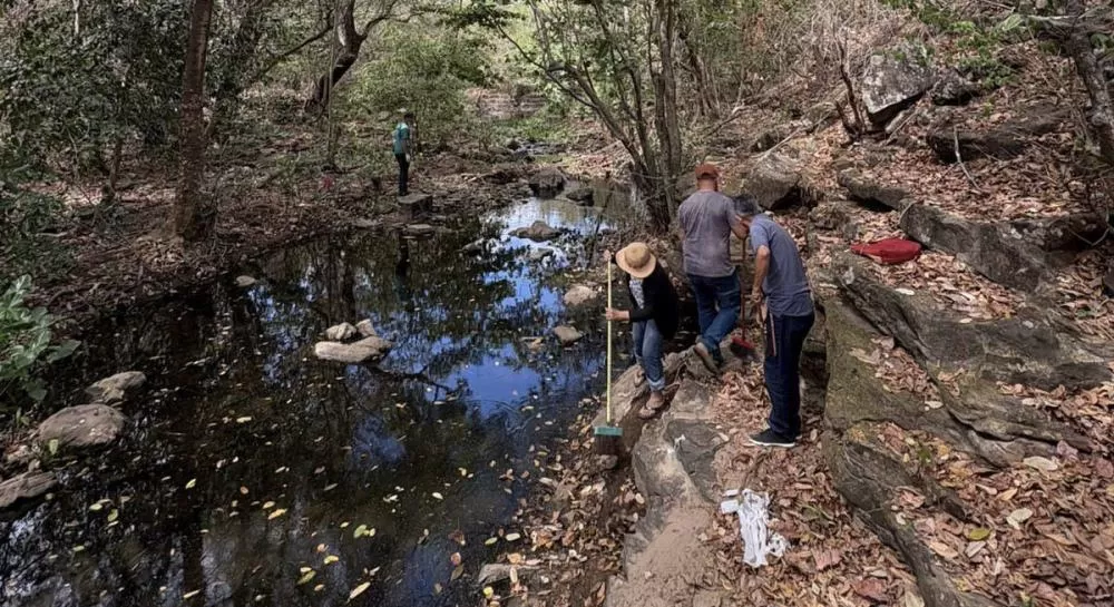 Fonte: Reprodução / Internet