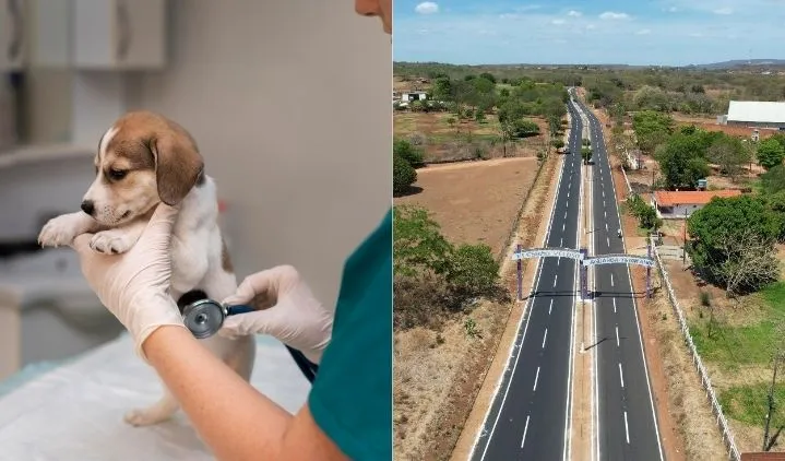 Prefeitura de Elesbão Veloso oferece consultas veterinárias e vermifugação gratuitas nesta quinta-feira